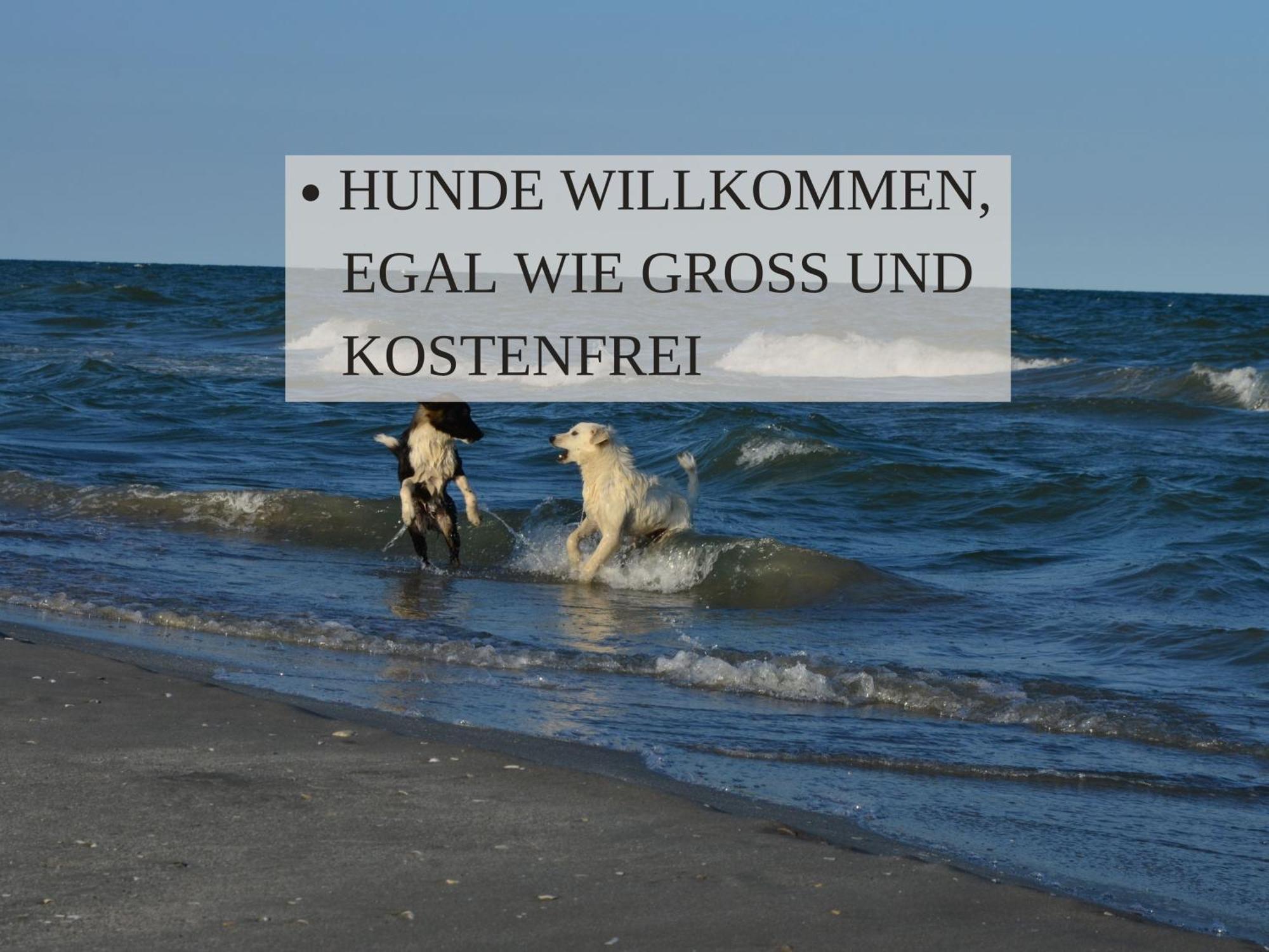 Haus Krabbe Zimmer Ohne Kueche, Fuer 1-2 Personen, Doppelbett, Zentral Gelegen Zwischen Cuxhaven Und Bremerhaven, Hunde Kostenfrei Willkommen, Kostenfreier Parkplatz Wremen Exterior foto